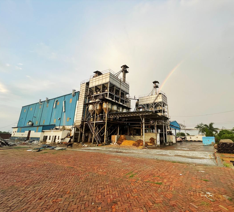 Best Basmati Rice Exporters in Delhi