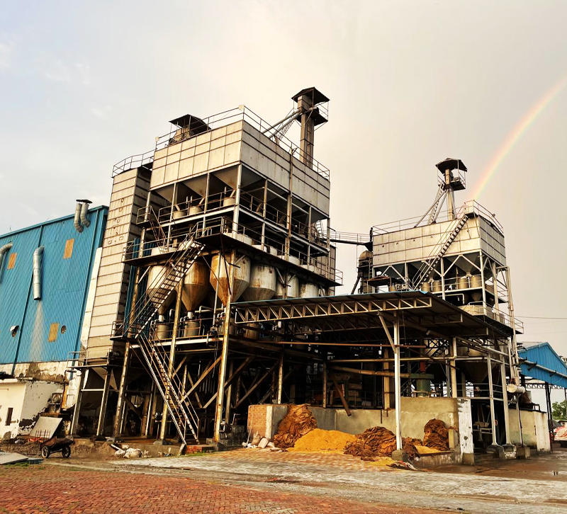 Best Basmati Rice Exporters in India